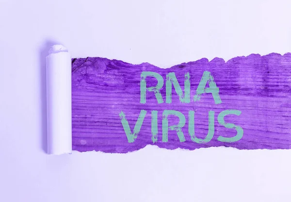 Tekst pisma Rna Virus. Koncepcja oznaczająca, że informacje genetyczne wirusa są przechowywane w postaci Rna. — Zdjęcie stockowe