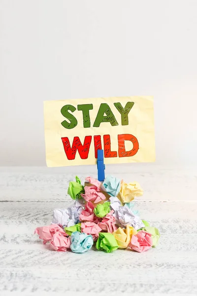 Word writing text Stay Wild. Business concept for keep being you and doing what you re doing Never want to change Reminder pile colored crumpled paper clothespin reminder white wooden space.