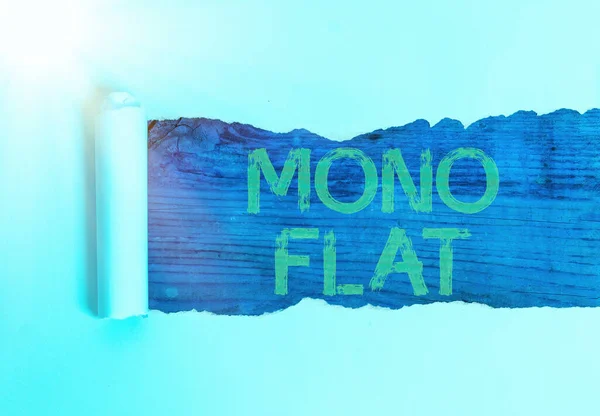 Handschrift tekst Mono Flat. Concept betekent Stroke lijn pictogrammen voor zakelijke diensten en oplossing voor klanten. — Stockfoto