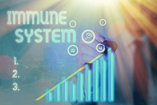 Word writing text Immune System. Business concept for Complex network work together to defend against germs.