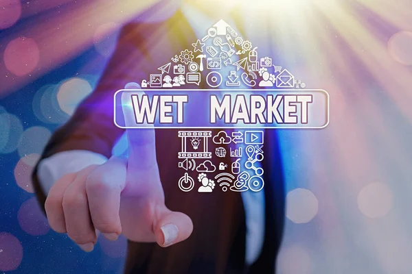 Konceptuell handstil som visar Wet Market. Företagsfoto visa upp marknaden säljer färskt kött fisk produkter och andra lättfördärvliga varor. — Stockfoto