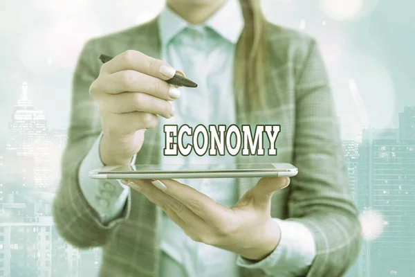 Znak tekstowy pokazujący Ekonomię. Fotografia koncepcyjna Zarządzanie zasobami finansowymi Analiza informacji rachunkowych. — Zdjęcie stockowe