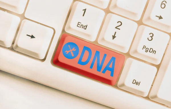 Writing note showing Dna. Business photo showcasing a selfreplicating material wpresent in nearly all living organisms. — Stockfoto