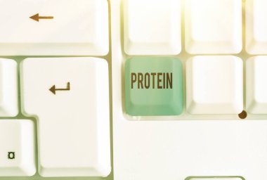 Proteini gösteren kavramsal el yazısı. İş fotoğrafı düşük yağ veya karbonhidrat tüketim zayıflaması planına metin.