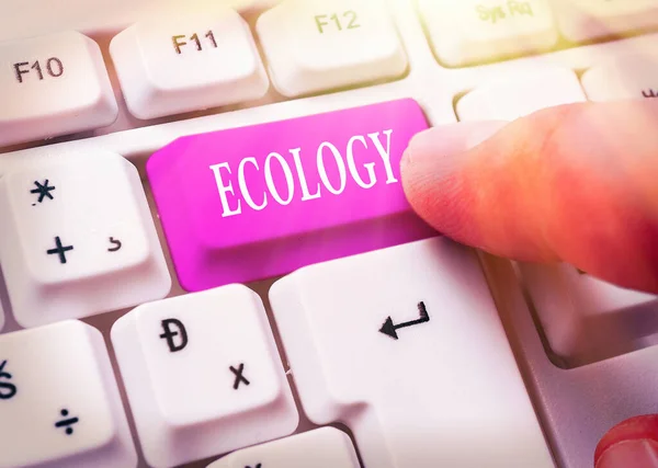 Tekstbord met Ecologie. Conceptuele foto Tak van de wetenschap relatie organismen milieu Wetenschappelijk onderzoek. — Stockfoto