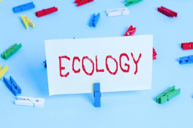 Ekolojiyi gösteren kavramsal el yazısı. Bilim İlişkileri Organizmaları Şubesi 'nin iş fotoğrafı. Bilimsel çalışma. Renkli çamaşır tokası..
