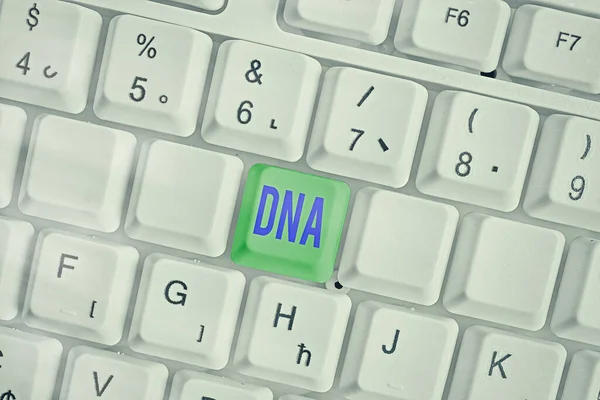 Textzeichen mit Dna. Konzeptfoto eines sich selbst replizierenden Materials, das in fast allen lebenden Organismen vorhanden ist. — Stockfoto