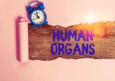Kelime yazma Huanalysis Organlar. Huanalysis vücut saatinin dahili üreme organları için iş konsepti. Alarm saati ve karton yırtılması klasik bir masa arkaplanının üzerine yerleştirilmiş..