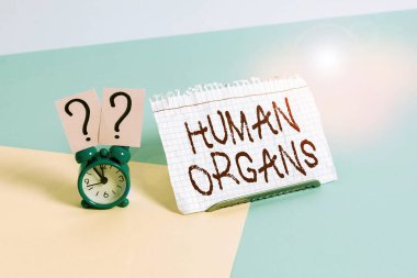 Huanalysis Organlar 'ı gösteren mesaj işareti. Kavramsal fotoğraf Huanaliz gövdesinin dahili üreme yapısı Mini boyutta alarm saati Pastel arka plana yaslanmış kağıt bir çarşaf yanında.