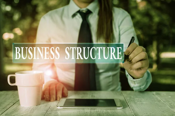 ビジネス構造を示す概念的な手書き。合法的に認められた組織の枠組みを紹介するビジネス写真携帯電話に座って保持する女性ビジネスの人. — ストック写真