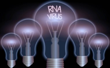 El yazısı Rna Virüsü. Rna formunda depolanan bir virüs genetik bilgisi anlamına geliyor..