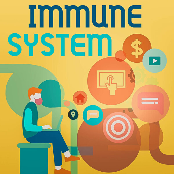 Word writing text Immune System. Business concept for Complex network work together to defend against germs Man Sitting Down with Laptop on his Lap and SEO Driver Icons on Blank Space.