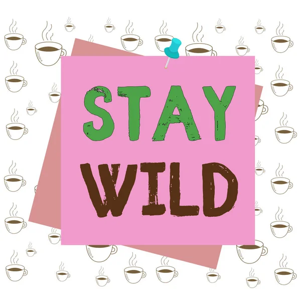 Writing note showing Stay Wild. Business photo showcasing keep being you and doing what you re doing Never want to change Reminder color background thumbtack tack memo pin square.