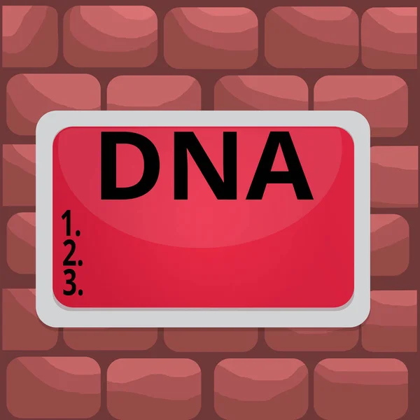 Handwriting text Dna. Concept meaning a selfreplicating material wpresent in nearly all living organisms Board rectangle white frame empty blank space fixed color surface plank. — Stock Photo, Image