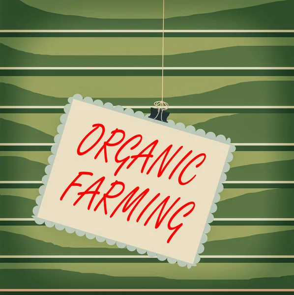 Konzeptionelle Handschrift, die den ökologischen Landbau zeigt. Business-Foto zeigt ein integriertes Landwirtschaftssystem, das Nachhaltigkeit anstrebt Stempelbinderclip quadratische Farbe Rahmen abgerundete Spitze. — Stockfoto
