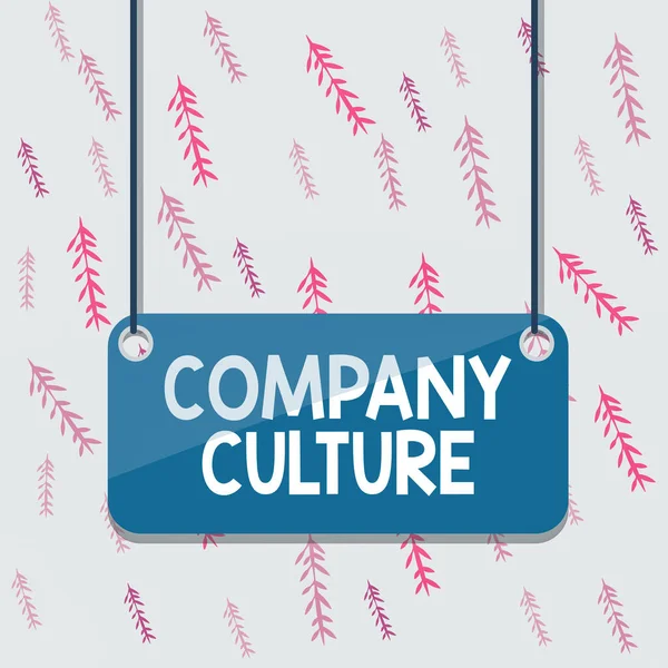 Handwriting text Company Culture. Concept meaning The environment and elements in which employees work Board color background plank attached string panel rectangle empty surface. — Stock Photo, Image