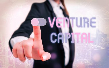 Venture Capital 'ı gösteren bir not yazıyorum. Firmalar tarafından küçük ölçekli fotograf sergisi finansmanı.