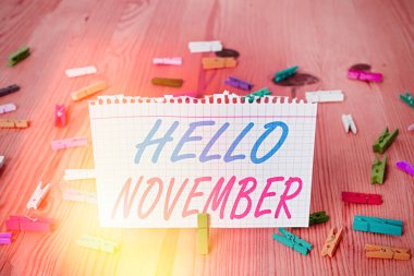 Merhaba November yazılı mesaj. Kavramsal fotoğraf Aralık 'tan önceki ayın on birinci ayına hoş geldin..