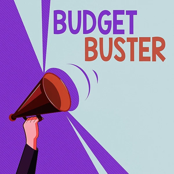 Segno di testo che mostra Budget Buster. Foto concettuale Spesa spensierata Acquisti non necessari Overspending Analisi Hu Hand Holding Megafono verso l'alto con Volume Sound Range Pitch Power . — Foto Stock