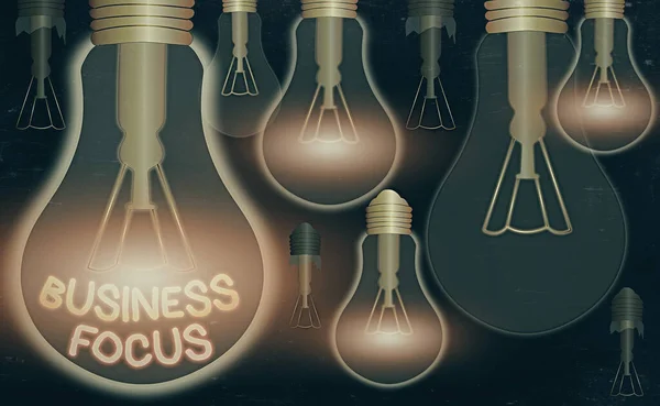 Handschrift tekst schrijven Business Focus. Concept betekent In dienst staan van de behoeften van de klant Volledige aandacht voor details. — Stockfoto