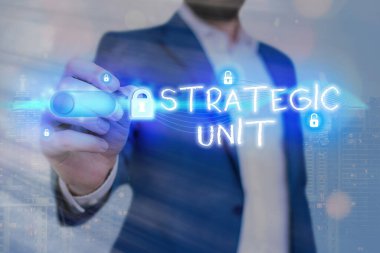 Sözcük yazma Stratejik Birimi. Kar merkezi için iş konsepti ürün sunma ve pazar segmentine odaklandı..