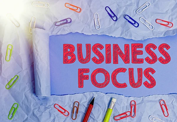 Texto de caligrafia Business Focus. Conceito significado Servir as necessidades do cliente Atenção total aos detalhes . — Fotografia de Stock