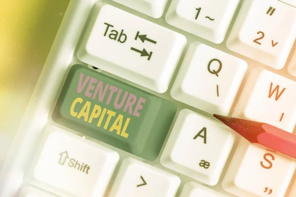 벤처 캐피탈 (Venture Capital) 에서 글을 쓴다. 초기 단계의 작은 기업에 의해 제공되는 기업을 의미하는 개념. — 스톡 사진