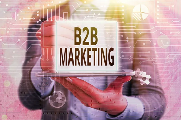 Σήμα κειμένου που δείχνει B2B Marketing. Εννοιολογική εταιρική φωτογραφία Εταιρείες Εφοδιασμού Αλυσίδα Συγχώνευση οδηγεί μεταπωλούν. — Φωτογραφία Αρχείου