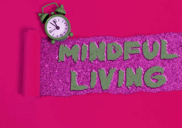 Textovka ukazující Mindful Living. Konceptuální fotografie Plně vědoma a zapojena do něčeho vědomého a citlivého. — Stock fotografie