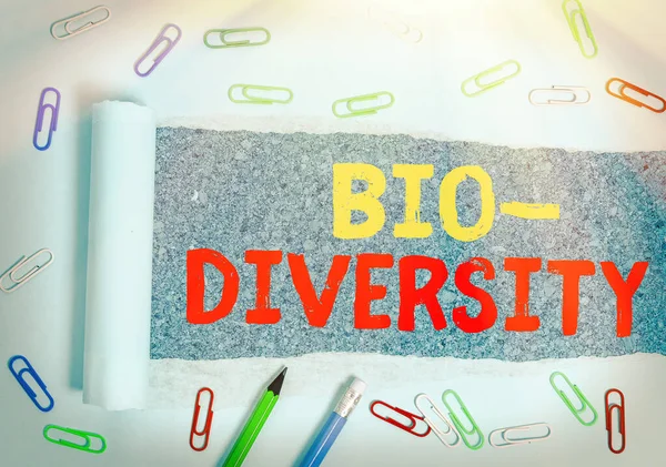 Текст для написания слов Bio Diversity. Концепция ведения бизнеса для разнообразных организмов морской фауны . — стоковое фото
