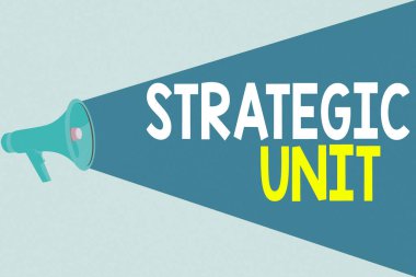 El yazısı Stratejik Birim. Konsept, kâr merkezinin ürün sunma ve piyasa segmentine odaklanması anlamına geliyor. Yarı Tonlu Hoparlör Ses Kapasiteli Ses Seviyesini Genişlet.