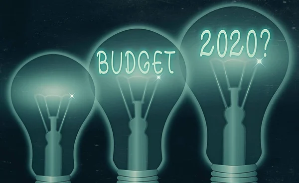 Text sign showing Budget 2020 Question. Conceptual photo estimate of income and expenditure for next year.