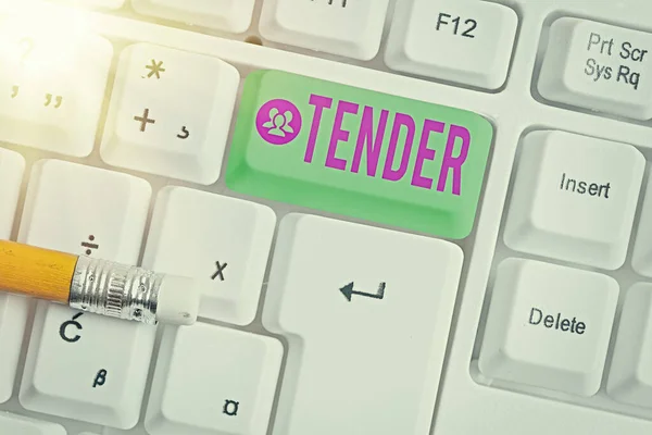 Segno di testo che mostra Tender. Foto concettuale che mostra gentilezza gentilezza e affetto sensibili al dolore . — Foto Stock