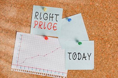 Kelime yazma metni sağ fiyat. Ürün için makul para miktarı için iş konsepti Corkboard renk boyut kağıt raptiye raptiye raptiye bilbboard uyarı tahtası için.