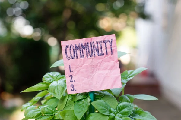 Conceptueel handschrift waaruit de Gemeenschap blijkt. Zakelijke foto presentatie van specifieke bevolking met een gemeenschappelijke kenmerken samenleven Plain papier bevestigd aan stok en geplaatst in het grasland. — Stockfoto