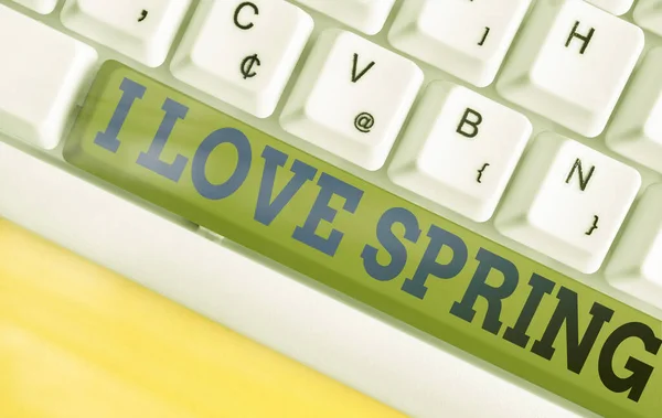 Testo calligrafico I Love Spring. Concetto che significa raccontare perché avere un forte affetto per questa stagione . — Foto Stock