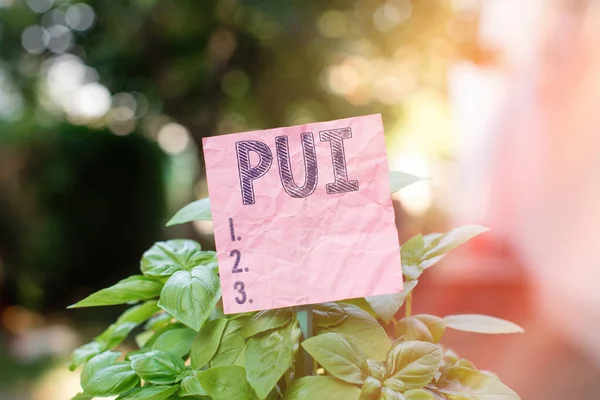 Scrittura concettuale a mano che mostra Pui. Foto aziendale che mostra un individuo che ha sindrome da distress respiratorio acuto sulla base di prove Carta normale attaccata a bastone e collocato nel terreno erboso . — Foto Stock