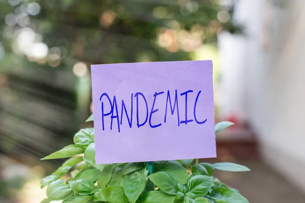 Handwriting text Pandemic. Concept meaning occurring over a wide area affecting high proportion of population Plain empty paper attached to a stick and placed in the green leafy plants.