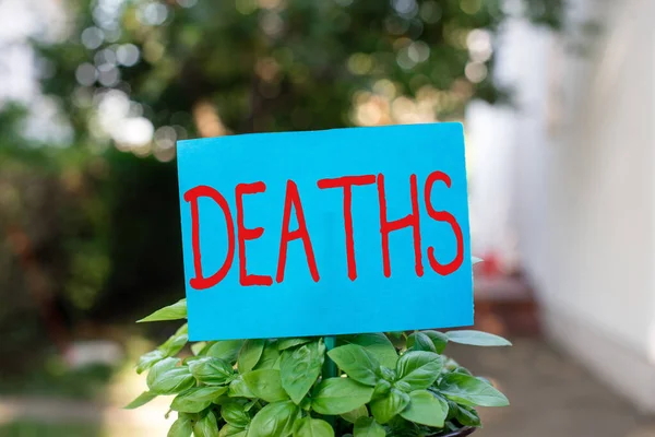 Escribiendo una nota mostrando Muertes. Foto de negocios mostrando el cese permanente de todos los signos vitales, ejemplo de morir individual Papel liso adjunto a palo y colocado en la tierra herbosa . —  Fotos de Stock