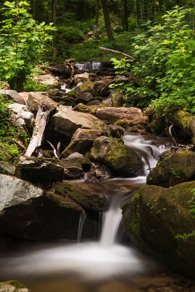 Şelale, Amicalola Şelalesi'nde Kuzey Gürcistan