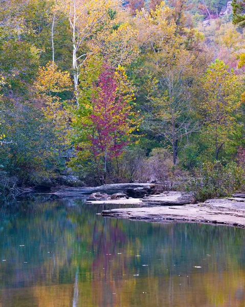 Follaje de otoño cerca de Mountain Stream — Foto de Stock
