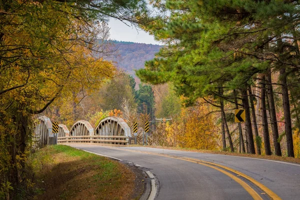 Un puente rural en el bosque — Foto de Stock