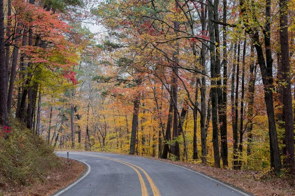 Colores de otoño en el bosque nacional de Ozark — Foto de Stock