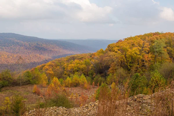 Colores de otoño en el bosque nacional de Ozark — Foto de Stock