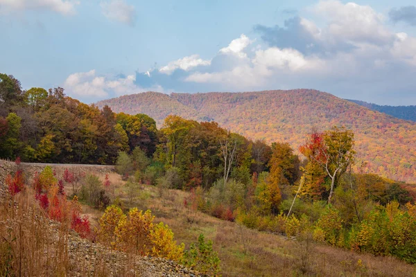 Couleurs d'automne dans la forêt nationale d'Ozark — Photo