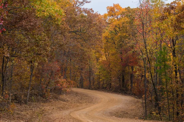 Colores de otoño en el bosque nacional de Ozark — Foto de Stock