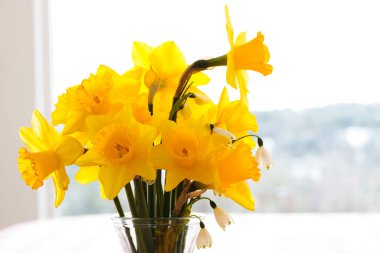 Nergis bokeh kar manzara büyük pencereden arka plan ile bir vazoda yakın çekim