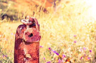 Paslanmış eski kilit paslı direğe asılmış Kaliforniya çayırlarının arka planında, turuncu sarı gelincikler