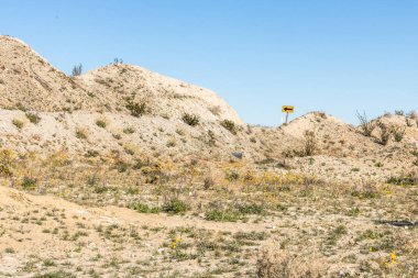 Baharda çöl bitkileriyle birlikte güneybatı çöl manzarası, Amerikan çölünde kamp, yürüyüş ve macera.