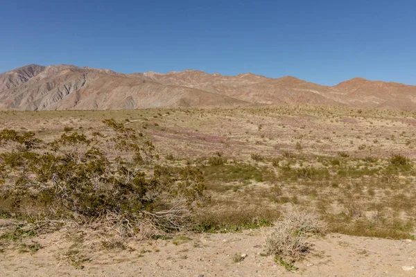 Trockene Wüste Südkaliforniens mit blauem Himmel, einsam leer und trostlos, abenteuerliche Wandercamping-Einsamkeit, friedlich — Stockfoto